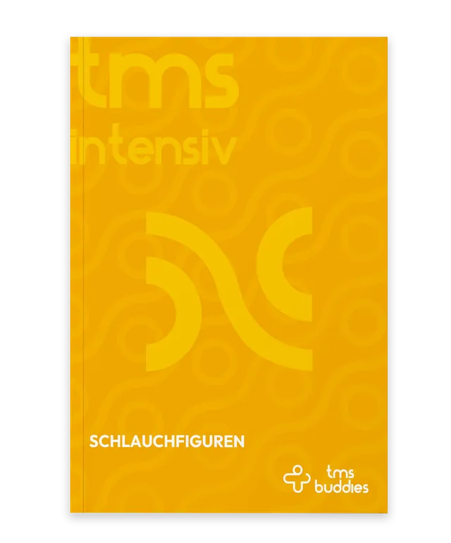 Trainingsbuch Schlauchfiguren