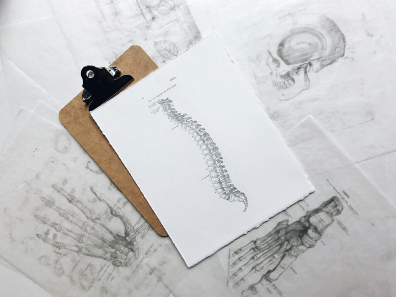 joyce-hankins-IG96K_HiDk0-unsplash (1) Medizin und Naturwissenschaft sind essenziell beim TMS
